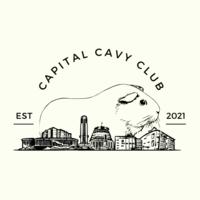 CapitalCavyClub Thumbnail