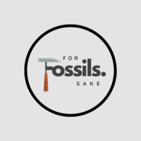 forfossilssake Thumbnail